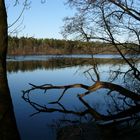 Straussee (Brandenburg)