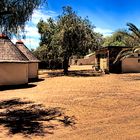 Straussenfarm High Gate in Südafrika .....