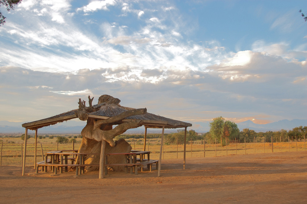 Straußenfarm in Südafrika