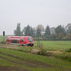 Straußfurt, 641 031-0