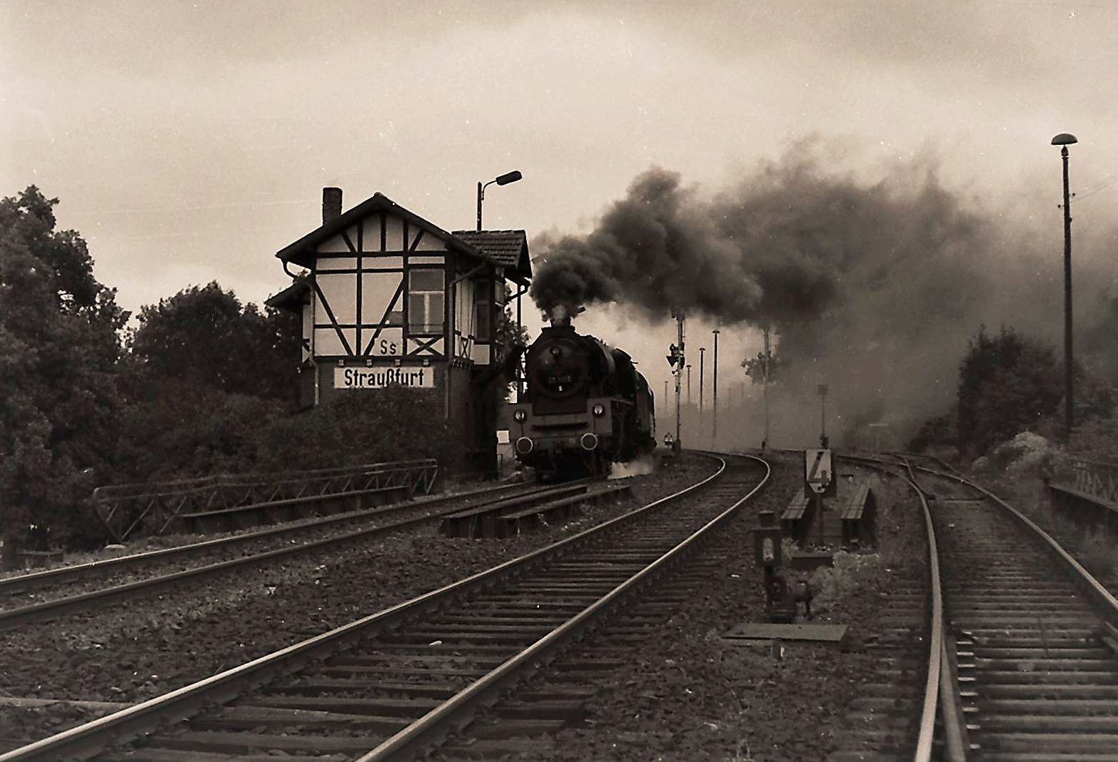 Straußfurt Foto & Bild Bilder auf