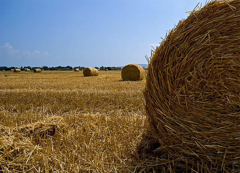 STRAW BALL