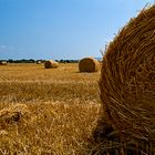 STRAW BALL