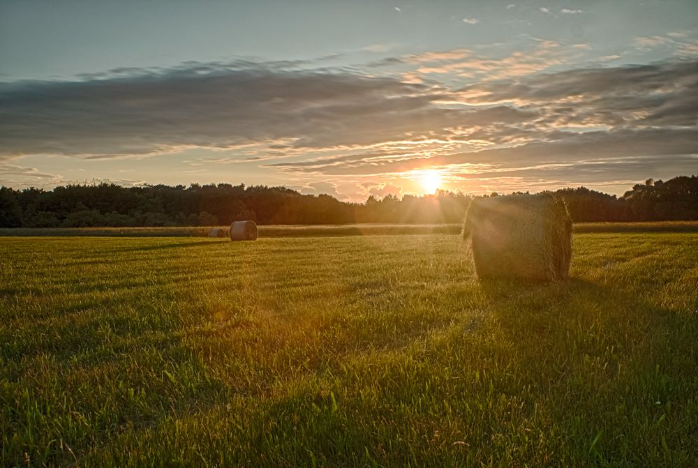 straw spot