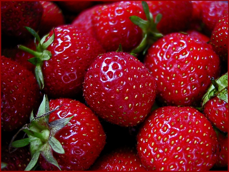 Strawberries for ever