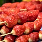 strawberrie's kebab