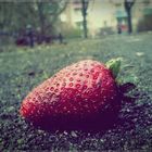 Strawberry.