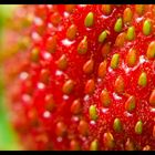 Strawberry Close-up