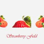 Strawberry Field