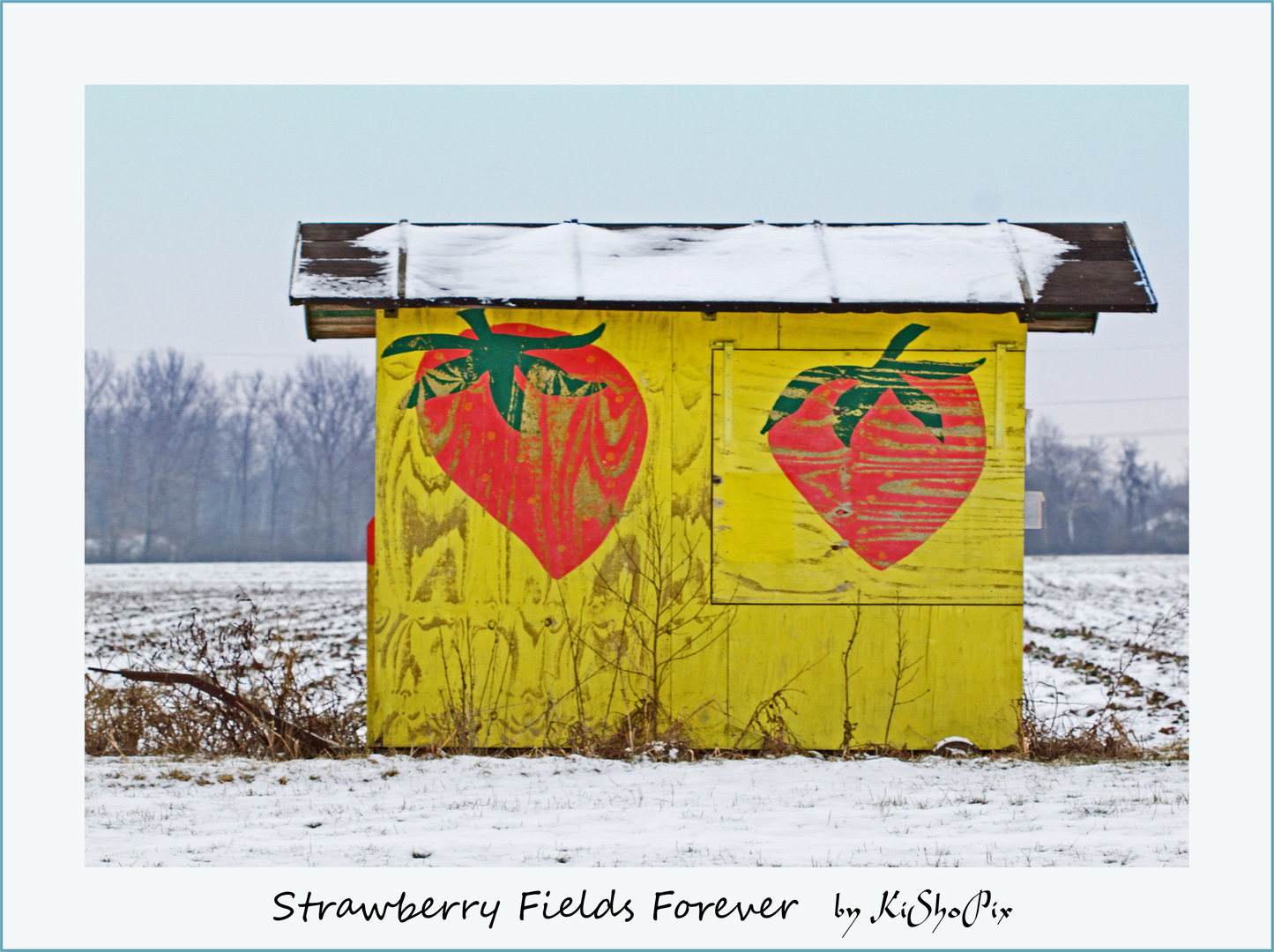 Strawberry Fields Forever