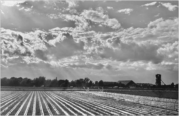 Strawberry Fields Forever