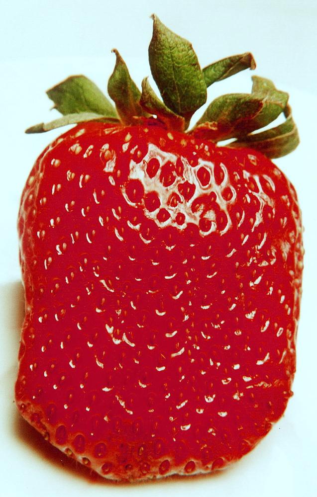 STRAWBERRY from ETiLER-ULUS