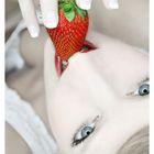 Strawberry Lady