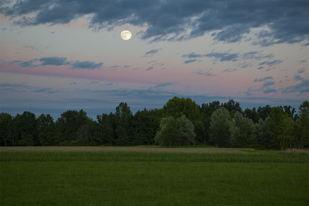 Strawberry moon