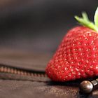 Strawberry on leather jacket