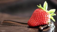 Strawberry on leather jacket