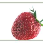 strawberry [reloud]
