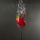 Strawberry-Splash II