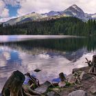 Strbske pleso - hohe Tatra (Slowakei) 