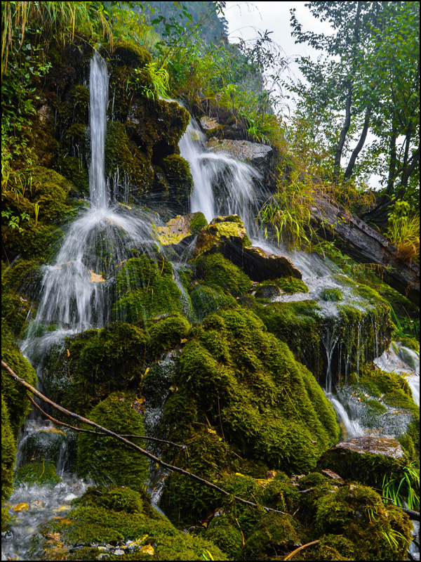 Stream. Albanian Alps.