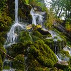 Stream. Albanian Alps.