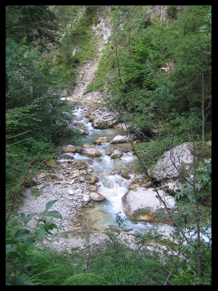 Stream (Austria)