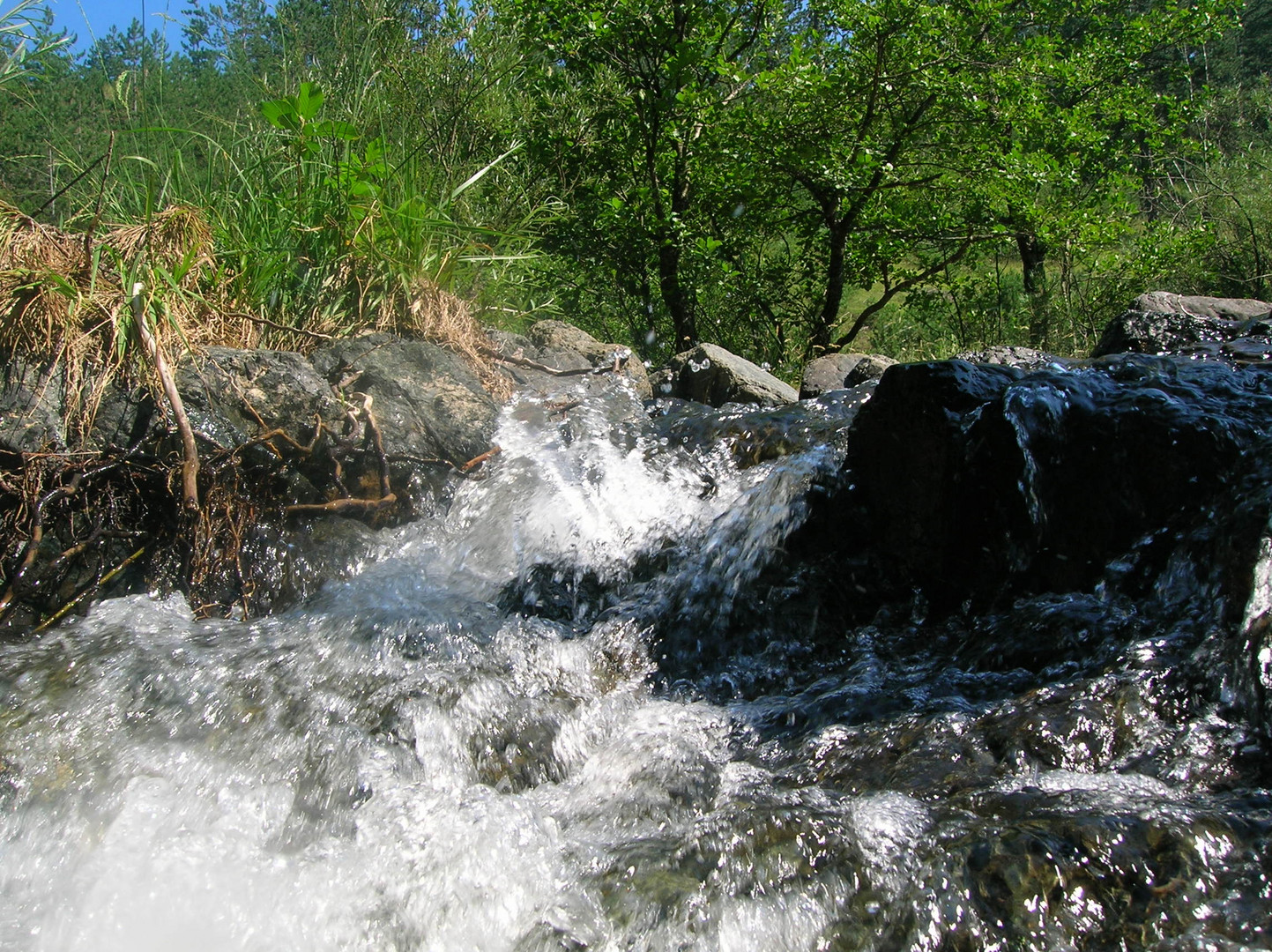 Stream