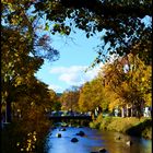 Stream in the Fall