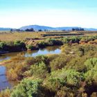 Stream in the field