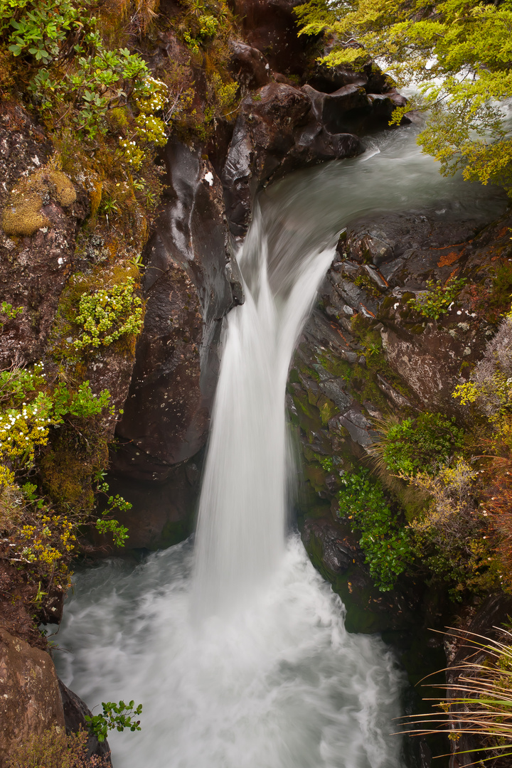 Stream in Tongariro National Park