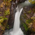 Stream in Tongariro National Park