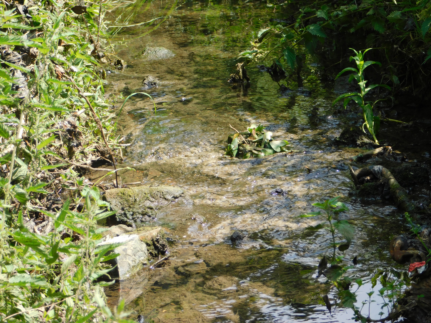 stream near field