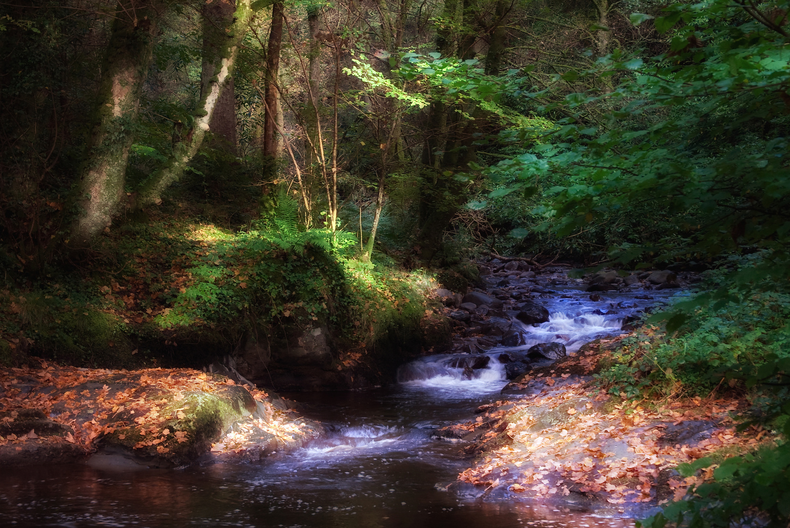 Stream running into Lake Vyrnwy