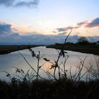 Streams of Sheppey