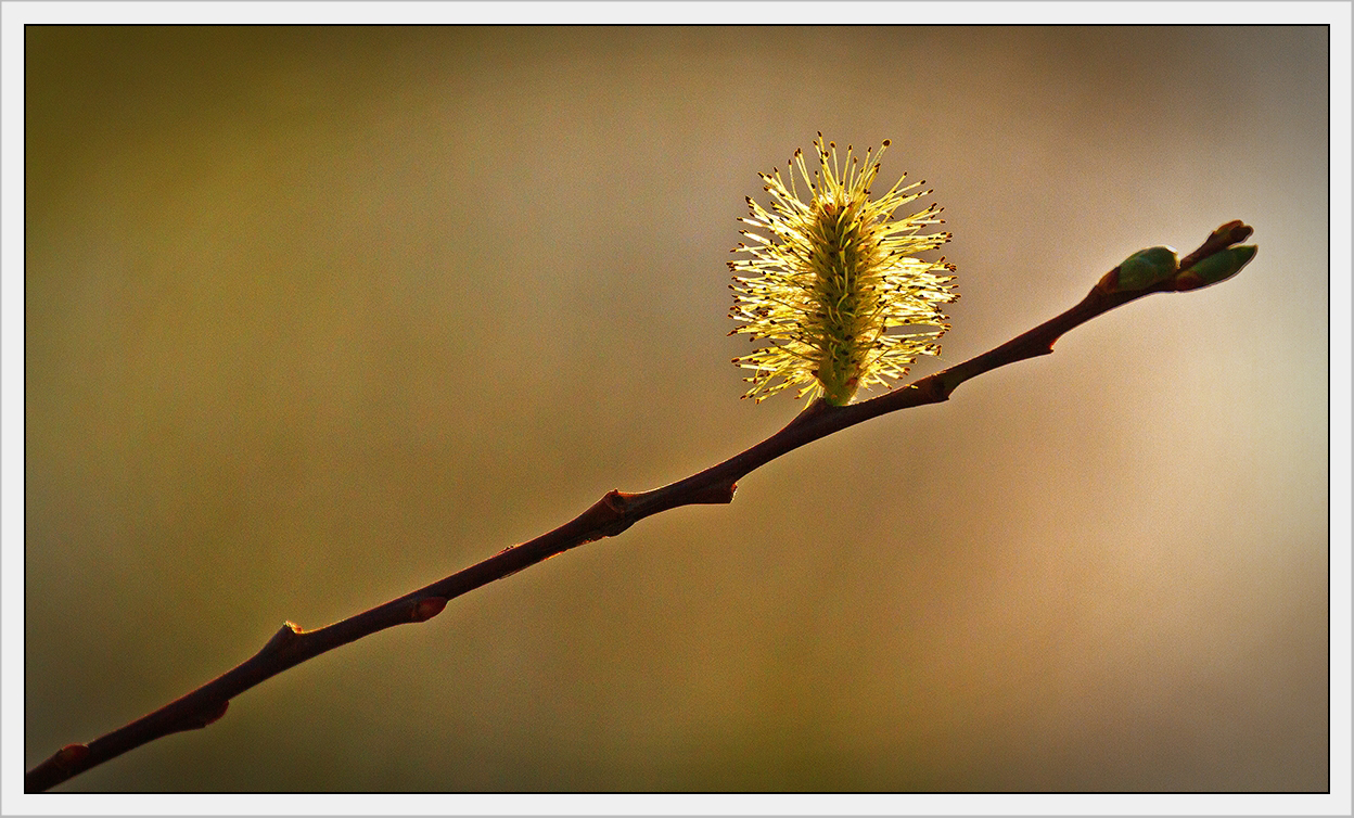 Streben zum Licht II