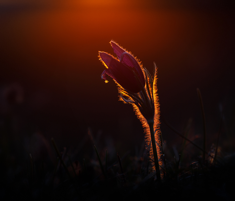 Strecken nach dem letzten Sonnenlicht