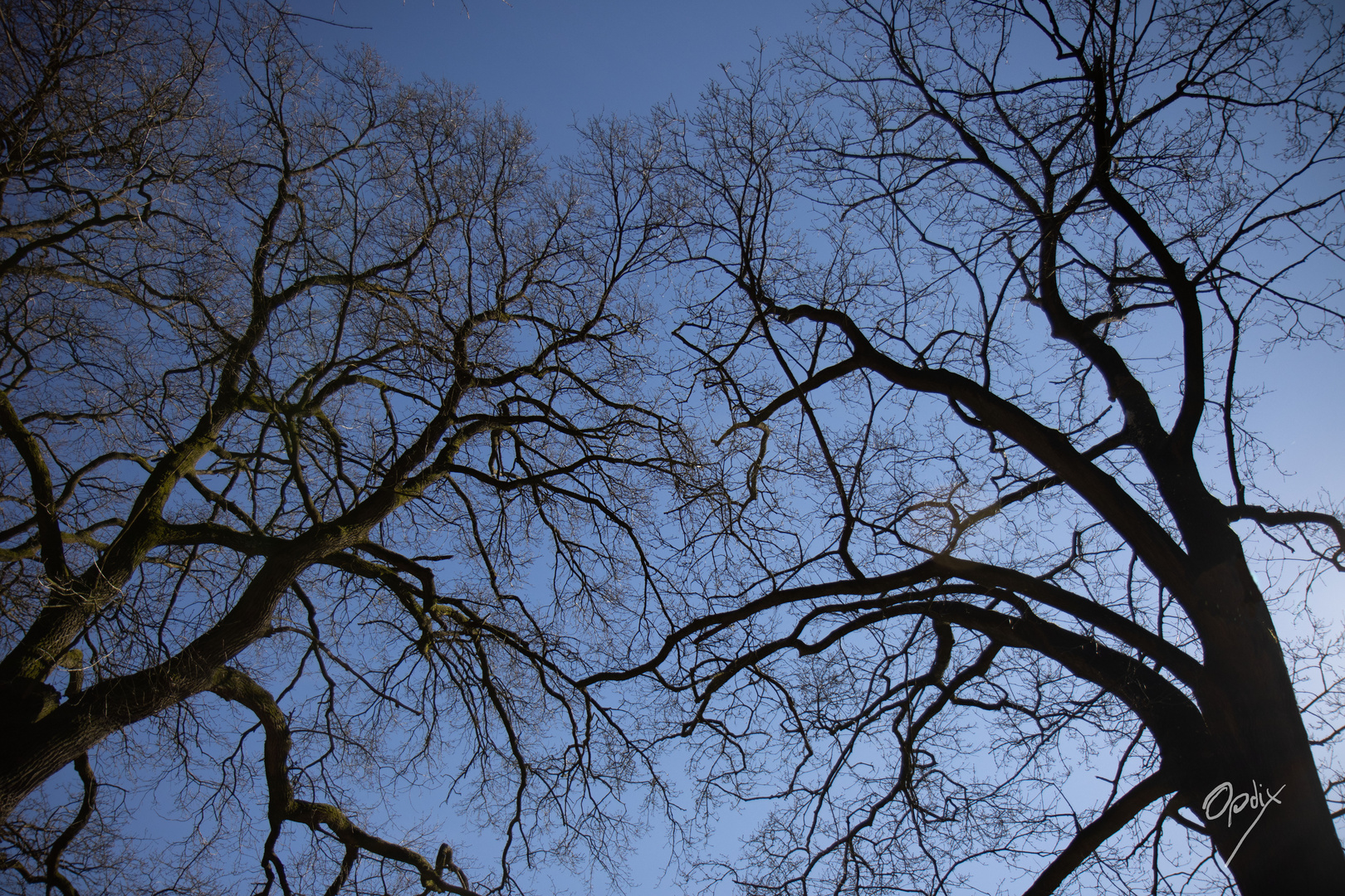 Strecken und Recken zum Himmel