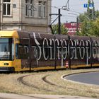 Streckentrenner, Signalkontakt und EW 199