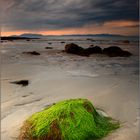 streedagh beach II