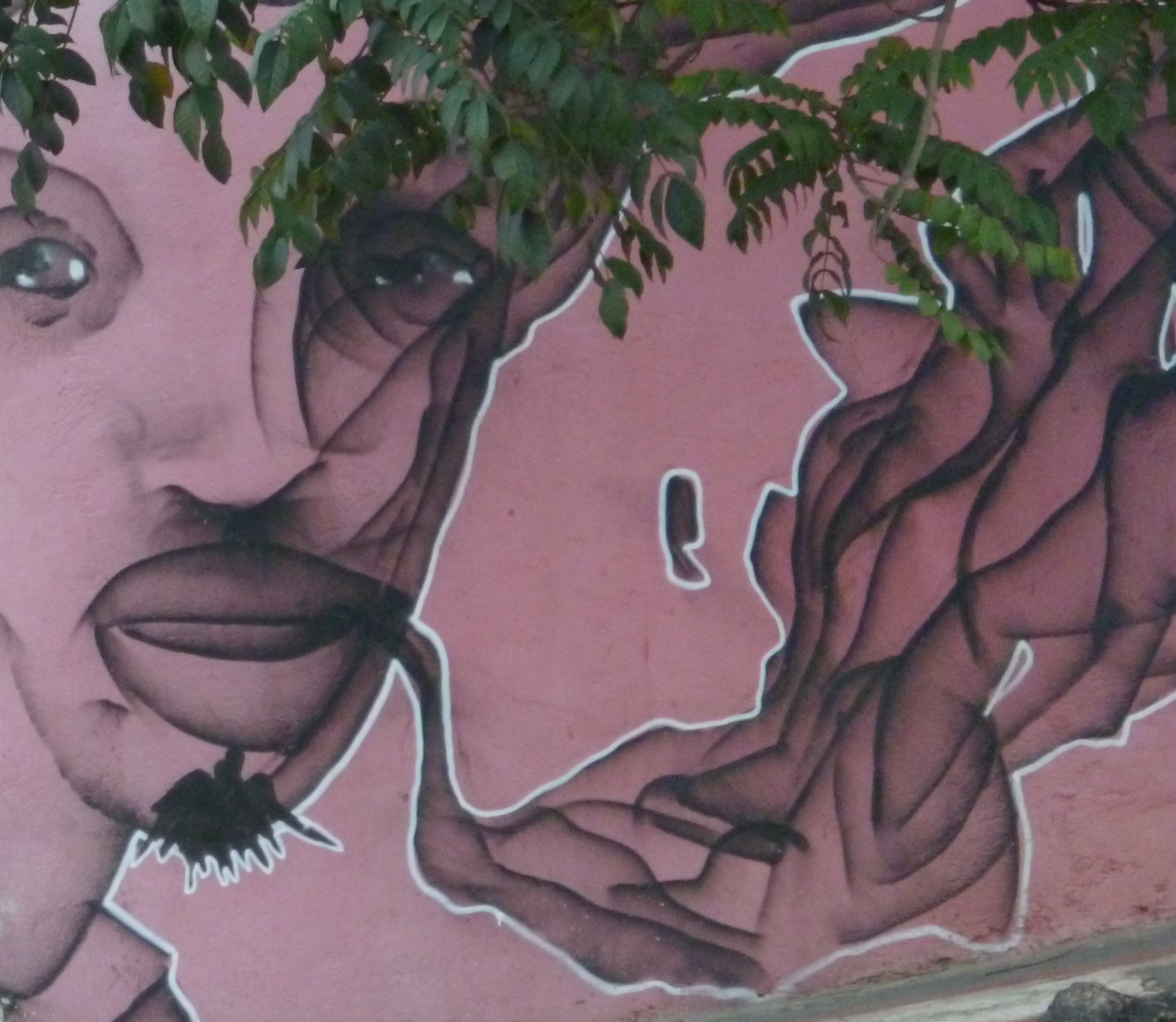 Street Art in Sao Paulo