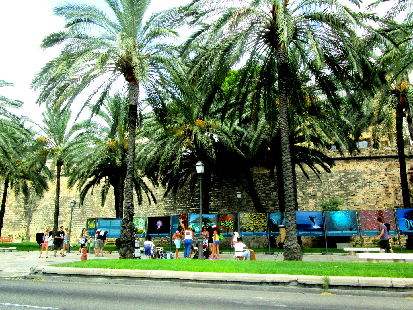 Street Arts under Palm Trees