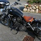 Street bob black