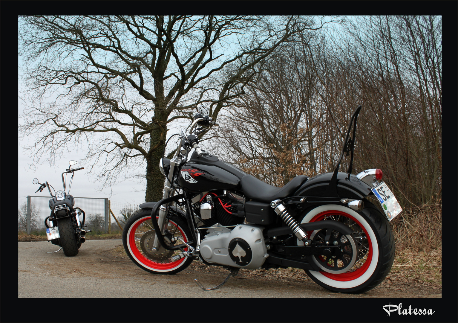 Street Bob meets Fat Bob