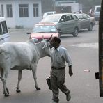 street Bus  India ca-138_col