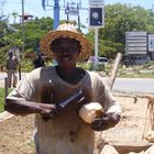 Street coconut vender