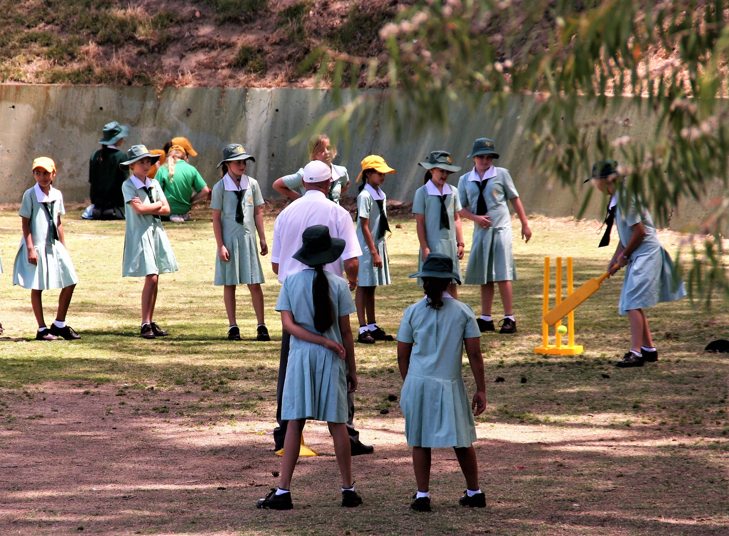 street Cricket Perth A-25col Australien +7Fotos