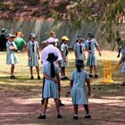 street Cricket Perth A-25col Australien +7Fotos