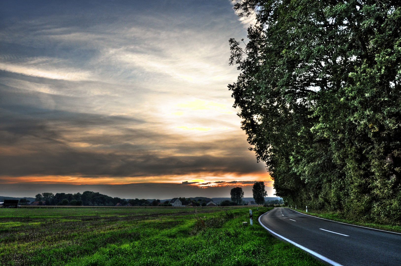 Street Direction: Nature