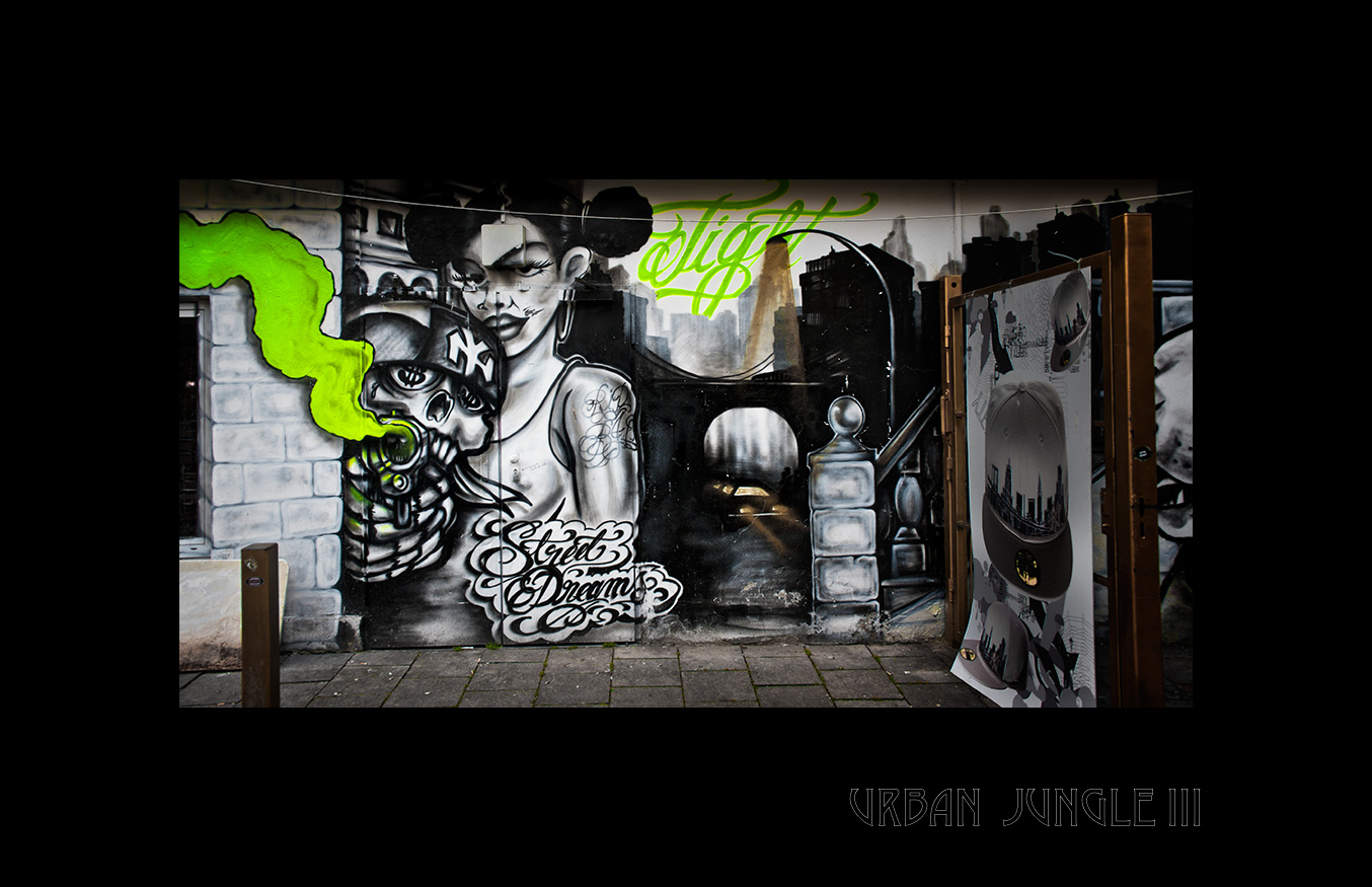 Street Dreams - Urban Jungle # Three