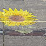 street flower